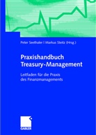 Peter Seethaler, Markus Steitz - Praxishandbuch Treasury-Management