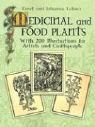 Ernst Lehner, Ernst Lehner Lehner, Ernst/ Lehner Lehner, Johanna Lehner - Medicinal and Food Plants