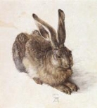 Carol Belanger Grafton, Carol Belanger Grafton - Great Animal Drawings and Prints