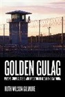 Ruth Wilson Gilmore, Gilmore Ruth Wilson - Golden Gulag