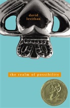 David Levithan - The Realm of Possibility