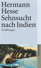 Hermann Hesse, Volke Michels, Volker Michels - Sehnsucht nach Indien