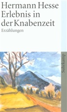 Hermann Hesse, Volke Michels, Volker Michels - Erlebnis in der Knabenzeit