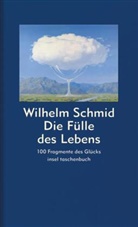 Wilhelm Schmid - Die Fülle des Lebens
