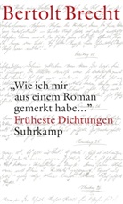 Bertolt Brecht, Jürge Hillesheim, Jürgen Hillesheim - 'Wie ich mir aus einem Roman gemerkt habe ...'