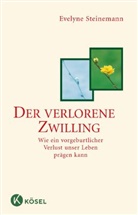 Evelyne Steinemann - Der verlorene Zwilling