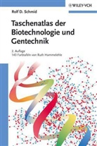 Ralf D. Schmid, Rolf D Schmid, Rolf D. Schmid - Taschenatlas Biotechnologie und Gentechnik