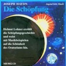 Die Schöpfung, 1 Audio-CD (Hörbuch)