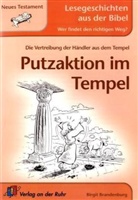 Birgit Brandenburg - Putzaktion im Tempel