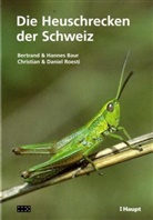 Bertrand Baur, Bertrand und Hannes Baur, Hannes Baur, Christian Roesti, Daniel Roesti - Die Heuschrecken der Schweiz