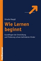 Ursula Haupt - Wie Lernen beginnt