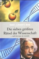 Arnold R. Brody, David E. Brody - Die sieben größten Rätsel der Wissenschaft und wie man sie versteht