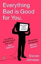 Steven Johnson - Everything Bad is Good for You
