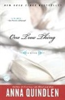 Anna Quindlen - One True Thing