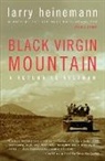 Larry Heinemann - Black Virgin Mountain
