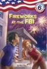 Timothy Bush, Ron Roy, Timothy Bush - Capital Mysteries #6: Fireworks at the FBI