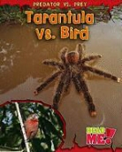 Mary Meinking - Tarantula Vs. Bird