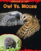 Mary Meinking - Owl Vs. Mouse
