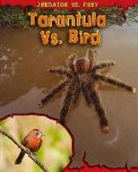 Mary Meinking - Tarantula Vs. Bird