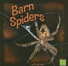 Molly Kolpin - Barn Spiders