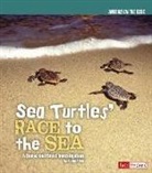 Kathy Allen, Jennifer Allen Krueger - Sea Turtles' Race to the Sea