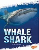 Deborah Nuzzolo, Deborah/ Fox Nuzzolo - Whale Shark