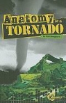 Terri Dougherty, Terri/ Ahlquist Dougherty - Anatomy of a Tornado