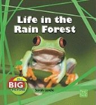 Sarah Levete - Life in the Rain Forest