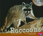 J. Angelique Johnson, Judith Angelique Johnson, Gail Saunders-Smith - Raccoons
