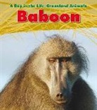 Louise Spilsbury, Louise A. Spilsbury - Baboon