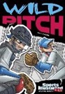 Eric Fein, Eric/ Sandoval Fein, Gerardo Sandoval - Sports Illustrated Kids Graphic Novels: Wild Pitch