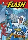 Jane Mason, Jane B Mason, Jane B. Mason, Jane/ Schoening Mason, Mike DeCarlo, Erik Doescher... - Captain Cold's Arctic Eruption
