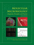David H. Persing, Yi-Wei Tang, Fred C. Tenover, David H. Persing, Fred C. Tenover - Molecular Microbiology