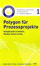 Kitte, Martin Kittel, Koertin, Torsten J. Koerting, Schött, Dirk Schött - Polygon für Prozessprojekte