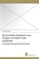 Thomas Thömmes - Die partielle Oxidation von Propen mit N2O in der Gasphase