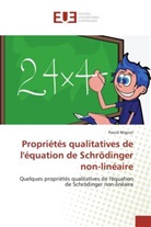 Pascal Bégout, Begout-p - Proprietes qualitatives de l