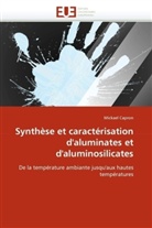 Mickael Capron, Capron-M - Synthese et caracterisation d