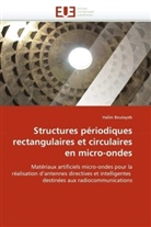 Halim Boutayeb, Boutayeb-H - Structures periodiques