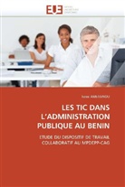 kossi AMESSINOU, Amessinou-K - Les tic dans l administration