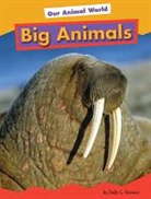 Heather Adamson - Big Animals