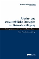 Christoph Herzeg, Gert P Reissner, Gert P. Reissner - Arbeits- und sozialrechtliche Strategien zur Krisenbewältigung