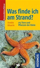 Bäuerle, Annegret Bäuerle, Strebl, Hein Streble, Heinz Streble - Was finde ich am Strand?