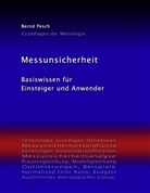 Bernd Pesch - Messunsicherheit