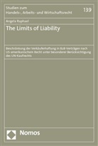 Angela Raphael - The Limits of Liability