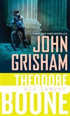 John Grisham - Theodore Boone: Book 1