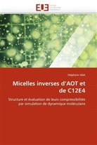 Stéphane Abel, Abel-S - Micelles inverses d aot et de c12e4