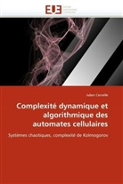 Julien Cervelle, Cervelle-J - Complexite dynamique et