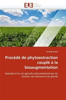 Armelle Braud, Braud-A - Procede de phytoextraction couple