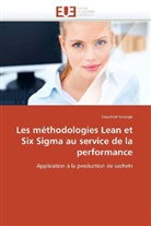Faustine Grange, Grange-f - Les methodologies lean et six