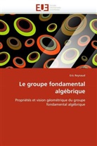 Eric Reynaud, Reynaud-e - Le groupe fondamental algebrique